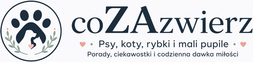 coZAzwierz